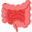 대장암