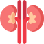 신장암